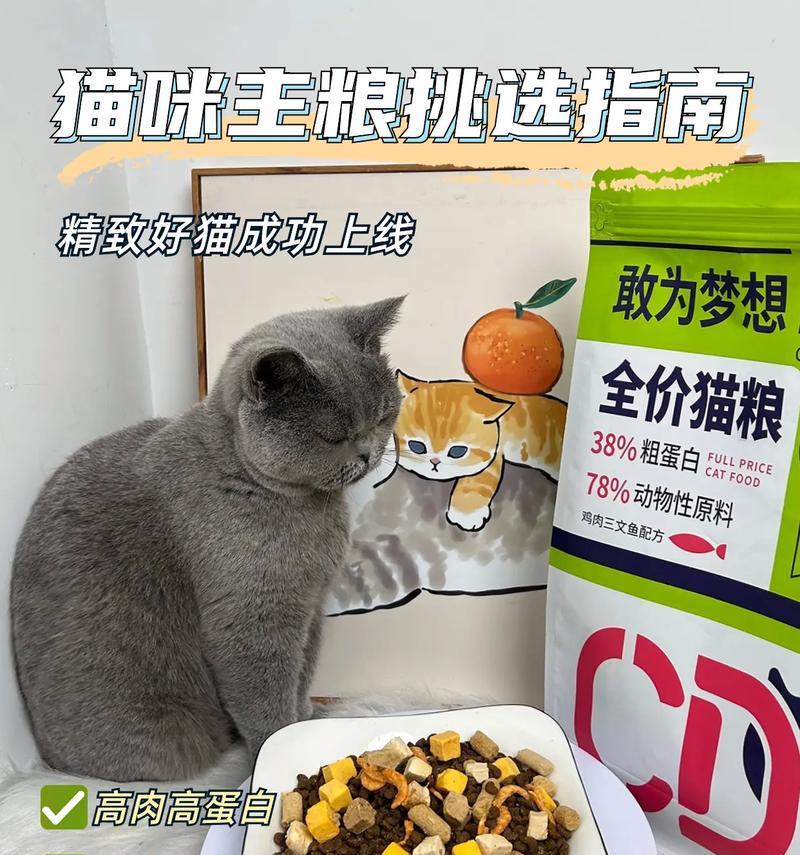 华丽猫猫粮哪里有优惠？