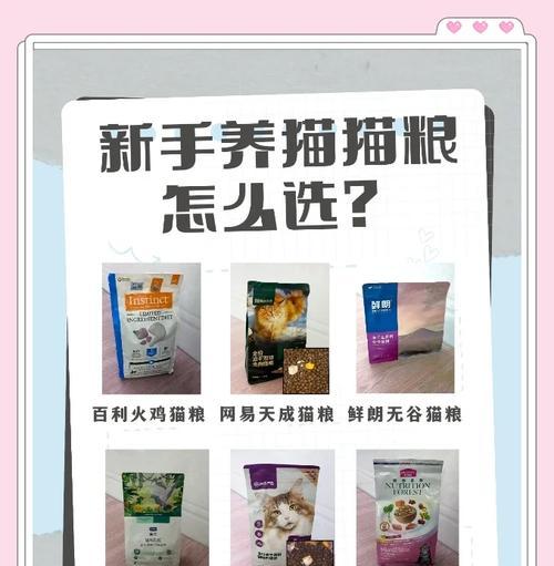 掉毛严重时猫粮选择有哪些？平价猫粮推荐是什么？