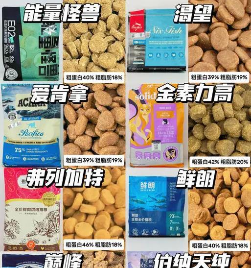 掉毛严重时猫粮选择有哪些？平价猫粮推荐是什么？