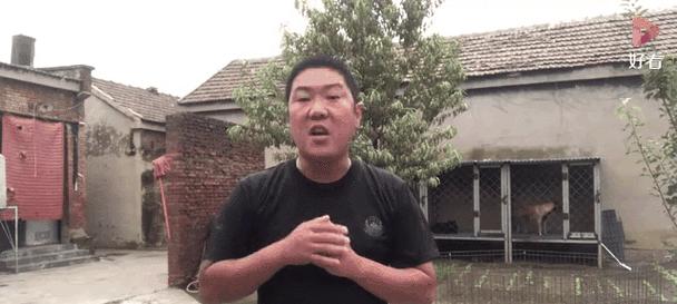 辛巴儿子德牧4个月的售价？