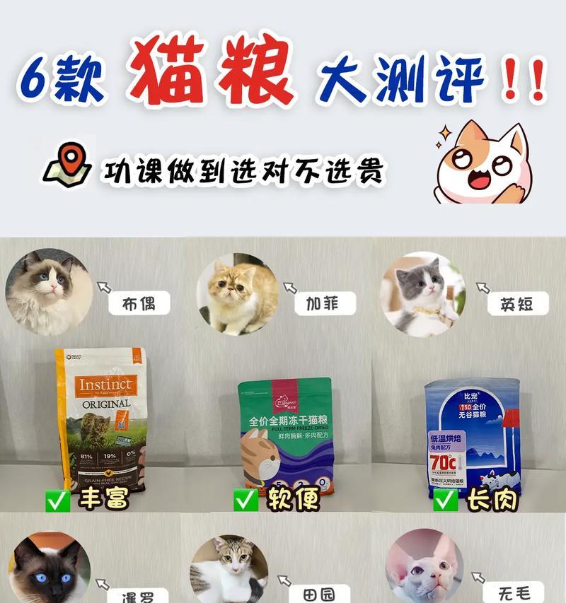 猫粮为什么所有猫都吃？其吸引力在哪里？