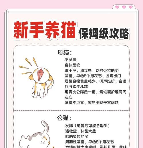 如何让猫从夹心粮过渡到纯粮？