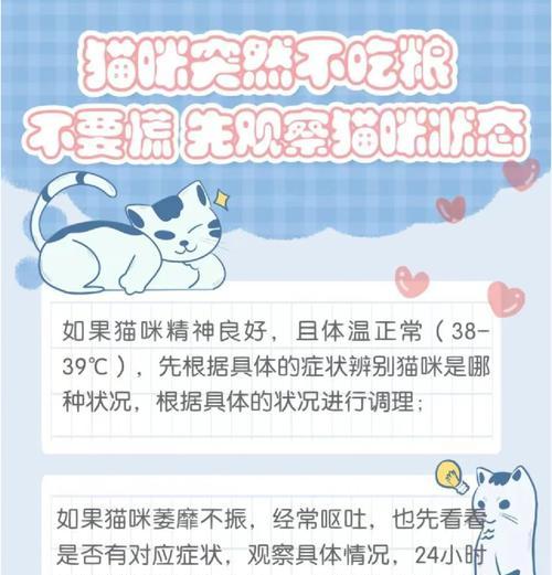 猫受惊吓后不吃猫粮怎么办？
