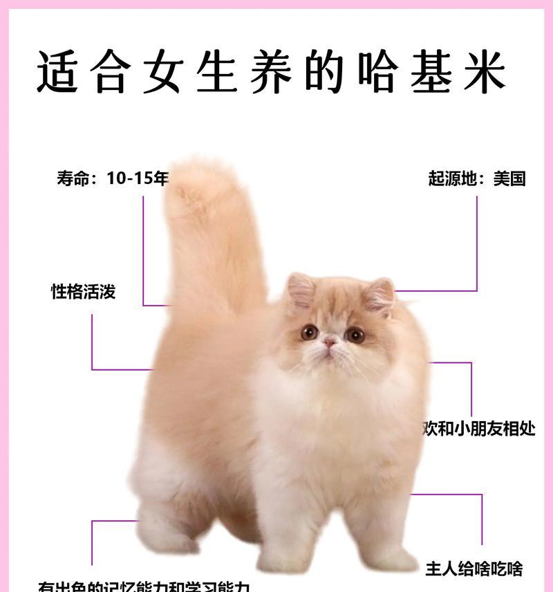 加菲买猫粮怎么问？
