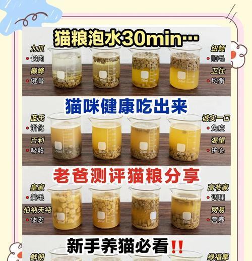 如何为猫咪挑选合适的猫粮？