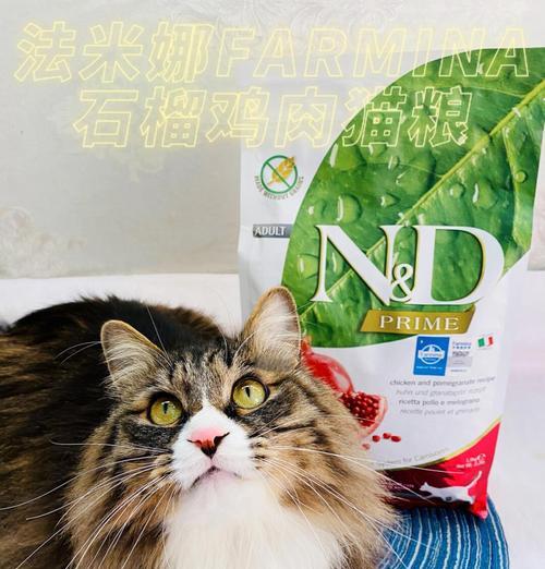 鸡肉味猫粮哪个牌子好？如何选择适合猫咪的鸡肉味猫粮？