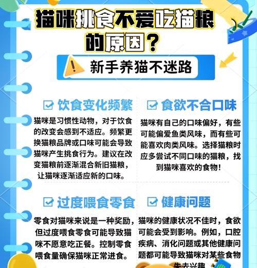 小猫偏爱吃猫粮里的肉干是为什么？小猫的饮食偏好如何调整？