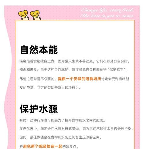 猫咪突然拒食猫粮？可能的原因及解决办法？