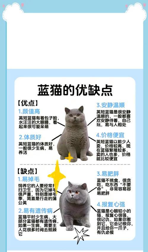 蓝猫不吃猫粮却精神饱满是何原因？