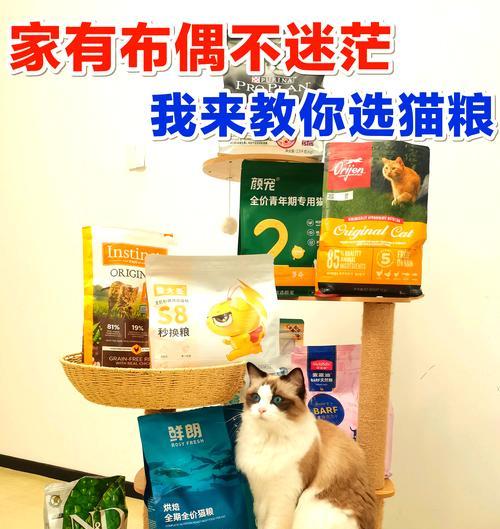 布偶猫适合哪种猫粮？如何挑选适合布偶的猫粮？