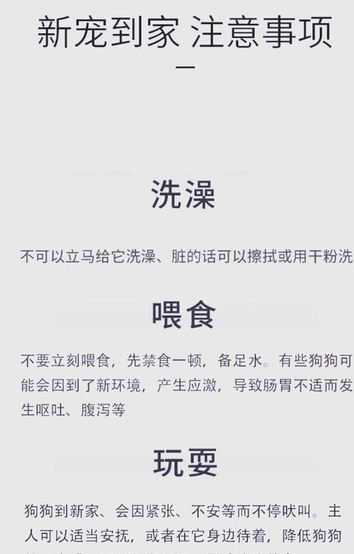 德牧美容的收费标准是什么？大概需要多少钱？