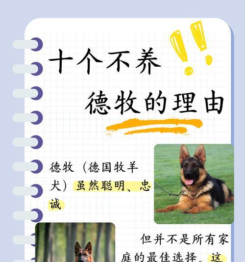 德牧美容的收费标准是什么？大概需要多少钱？