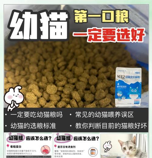 幼儿猫应该吃什么猫粮？如何选择适合幼猫的猫粮？