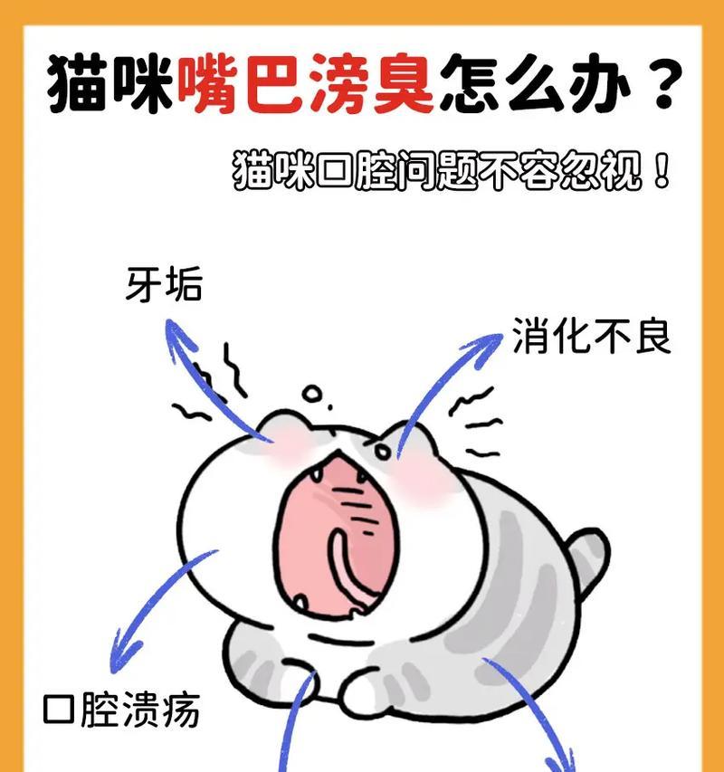 猫咪因吃猫粮口臭如何解决？