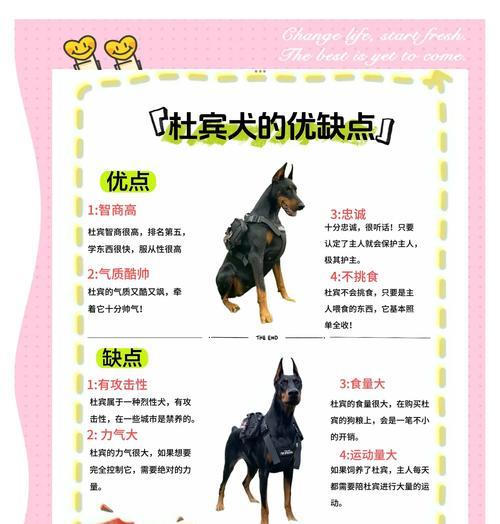 杜宾犬三个月吃什么狗粮最好呢？如何为杜宾犬选择合适的狗粮？