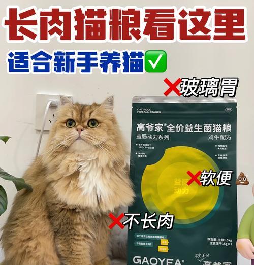 益生菌泡猫粮的正确方法是什么？