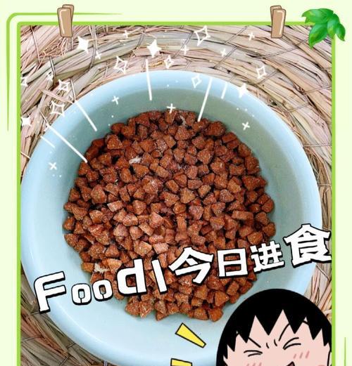 益生菌泡猫粮的正确方法是什么？