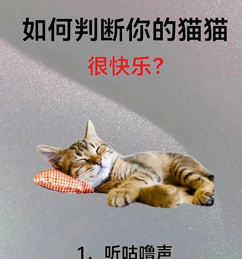 猫咪对猫粮呼叫声音大是为什么？