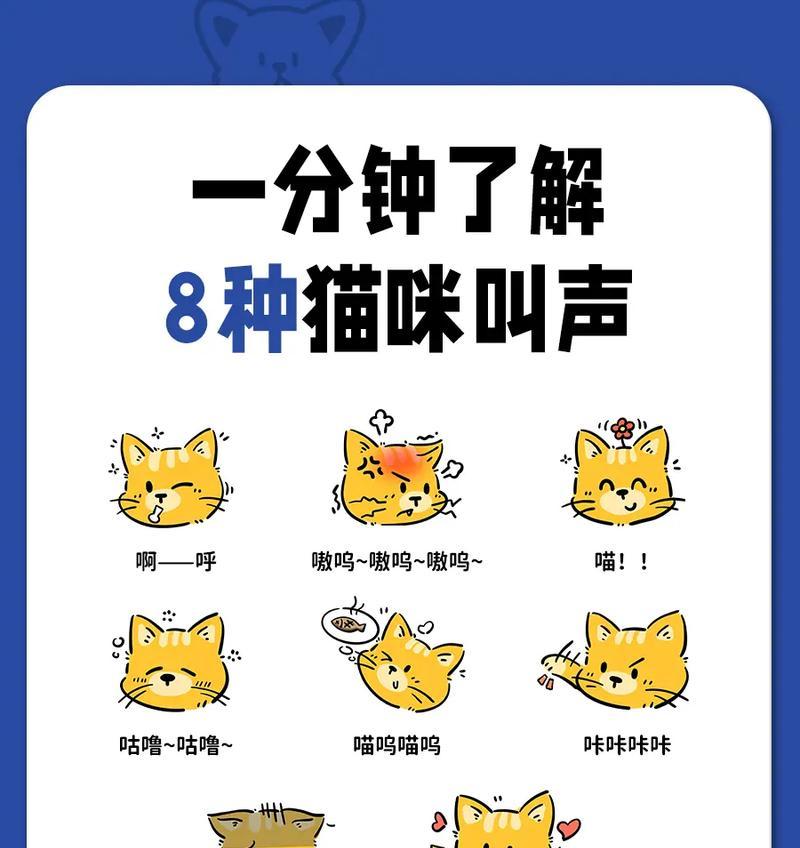 猫咪对猫粮呼叫声音大是为什么？
