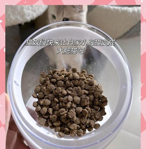 鲜鸡肉替代猫粮可行吗？原因是什么？