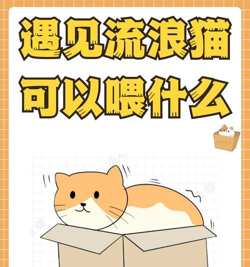 流浪猫偷吃猫粮家猫怎么办？如何防止流浪猫入侵？