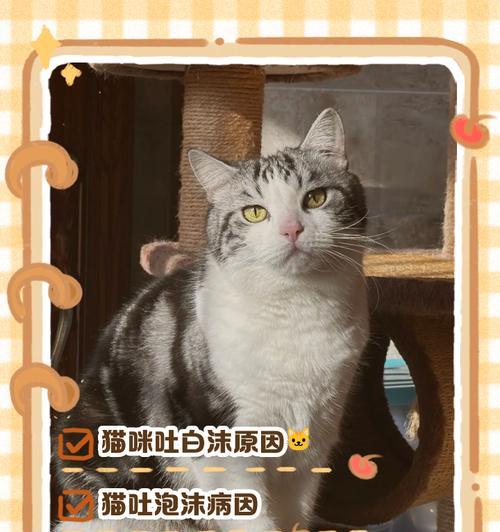 猫咪吐出白色泡沫是何原因？