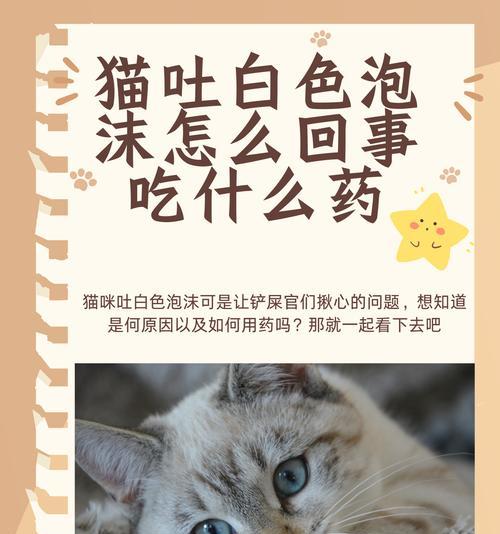 猫咪吐出白色泡沫是何原因？