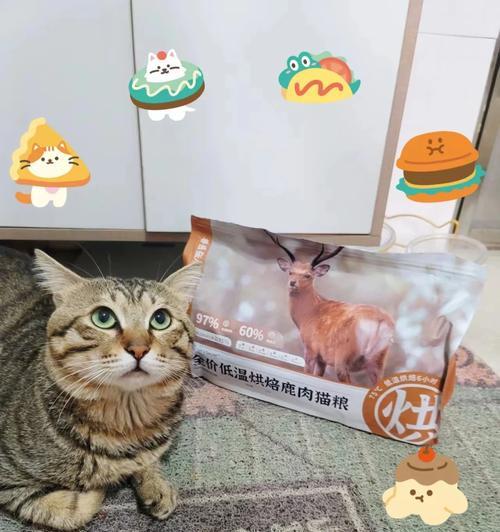 猫咪用手捧着吃猫粮代表什么？这行为有何含义？