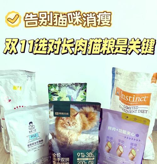 胖蓝猫的饮食偏好是什么？如何为胖蓝猫选择合适的零食和猫粮？