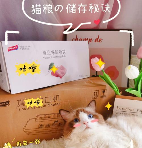 如何正确储存猫粮以保持新鲜？