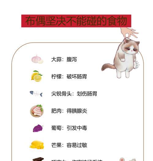 布偶幼猫正确的喂食方法是什么？