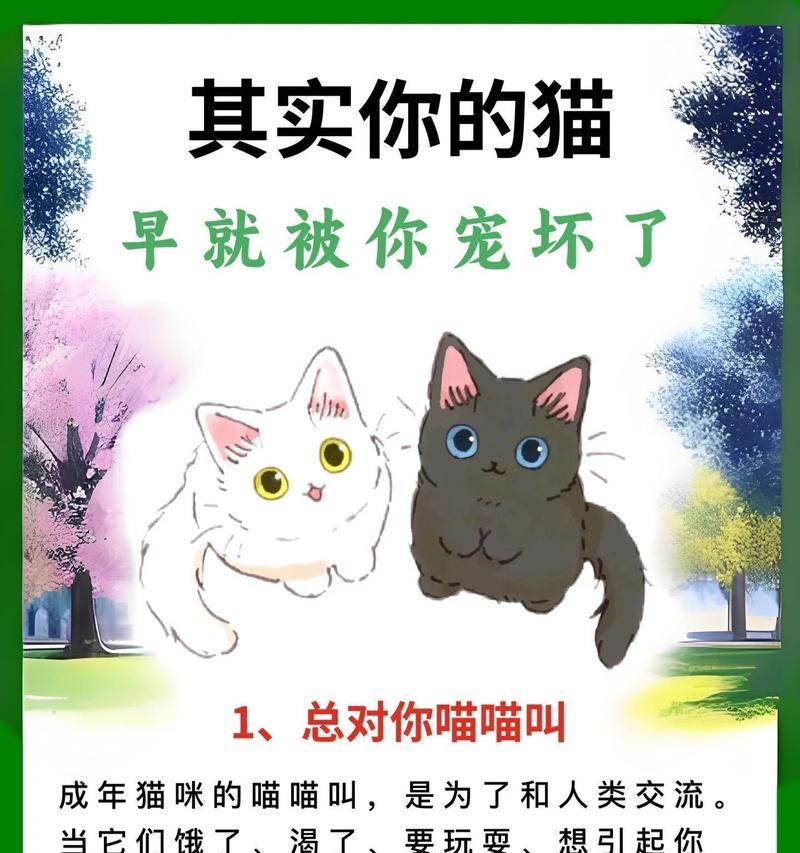 野猫护食猫粮的行为背后有何原因？