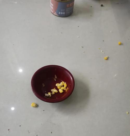 自制猫饭与猫粮选择的困惑？