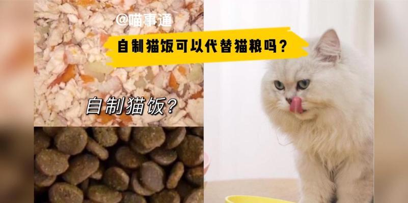 自制猫饭与猫粮选择的困惑？