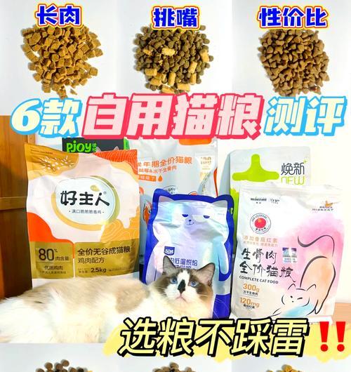 淮安猫粮厂猫粮怎么样？消费者对其评价如何？