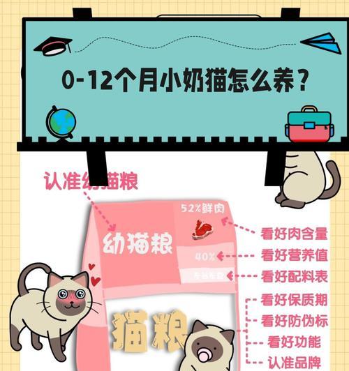 猫咪猫粮怎么玩？如何选择适合的猫粮？