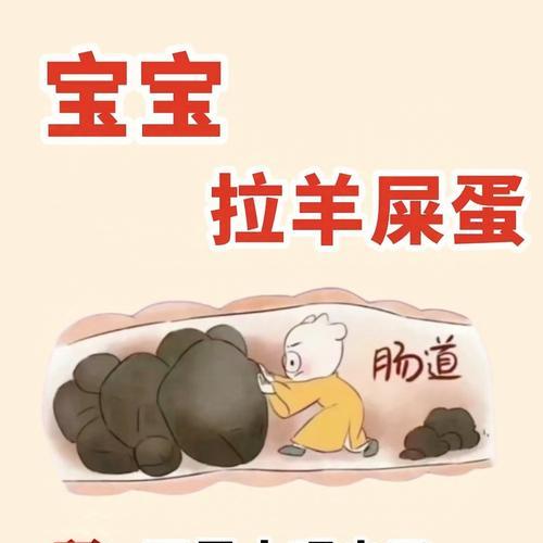 小孩子拉羊驼屎应该怎么办？需要吃什么药？