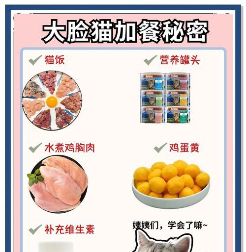 幼猫如何选择猫粮才能健康成长？