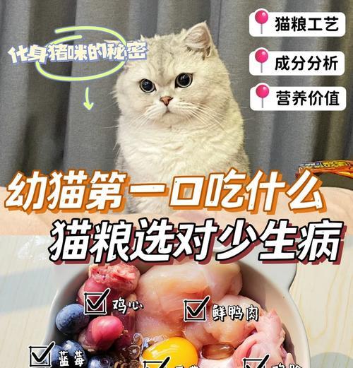 幼猫如何选择猫粮才能健康成长？