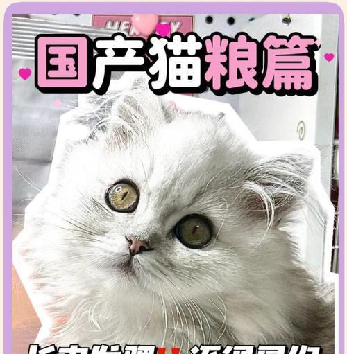 混粮会引起猫挑食吗？挑食的原因是什么？