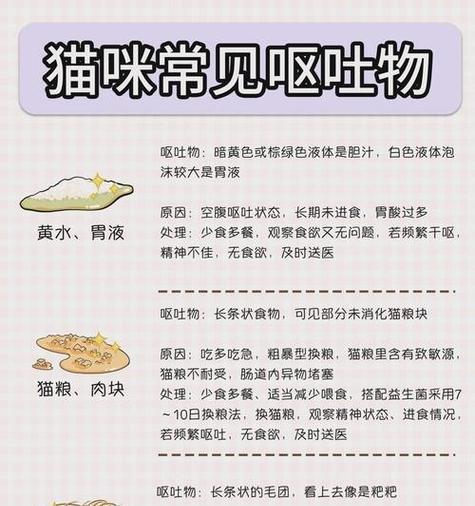 猫吐出带有头发的猫粮应如何处理？