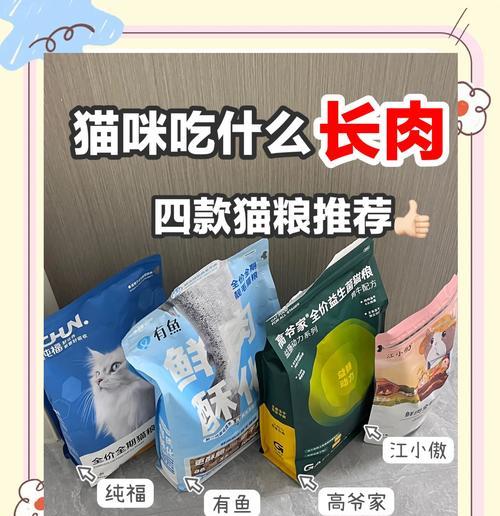 能把猫养肥的猫粮叫什么？如何选择增肥猫粮？