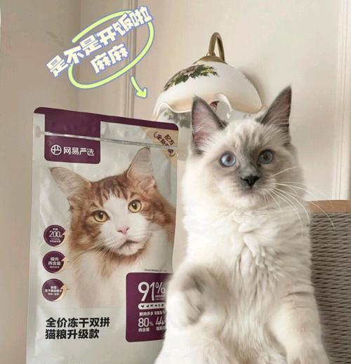 五元预算内猫粮的推荐品牌是什么？