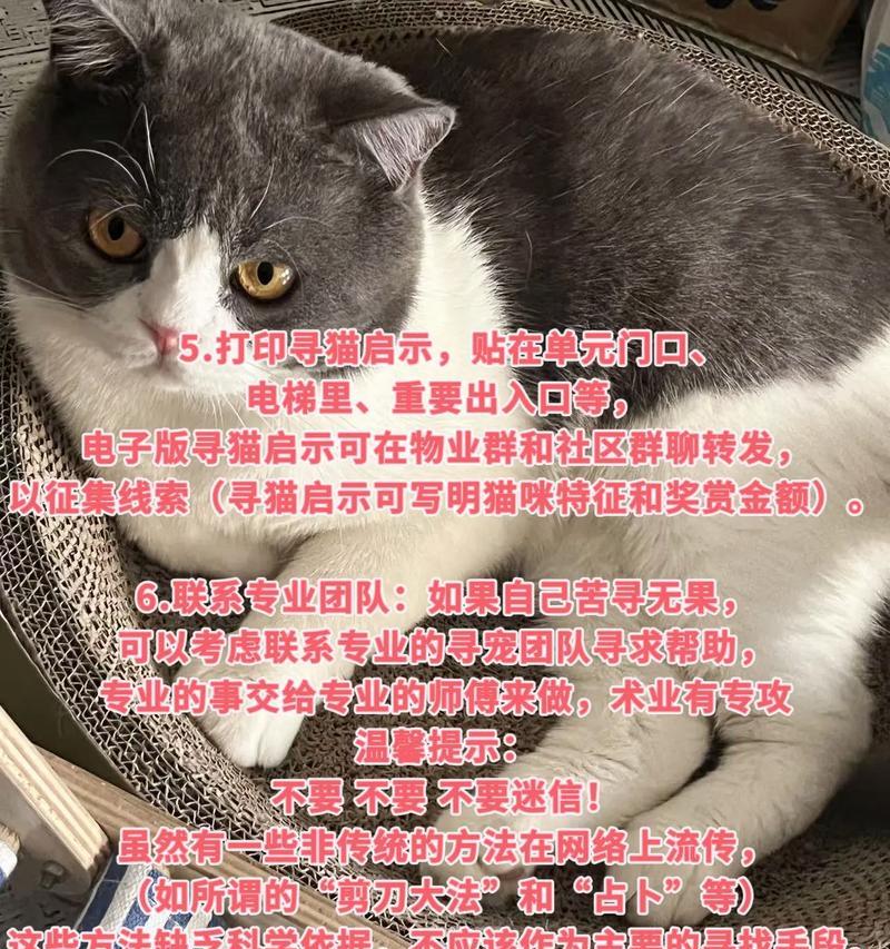 猫咪丢失后剩余猫粮如何处理？