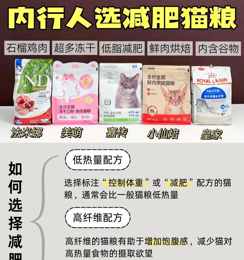 胖猫好吃什么猫粮？如何选择适合肥胖猫咪的猫粮？