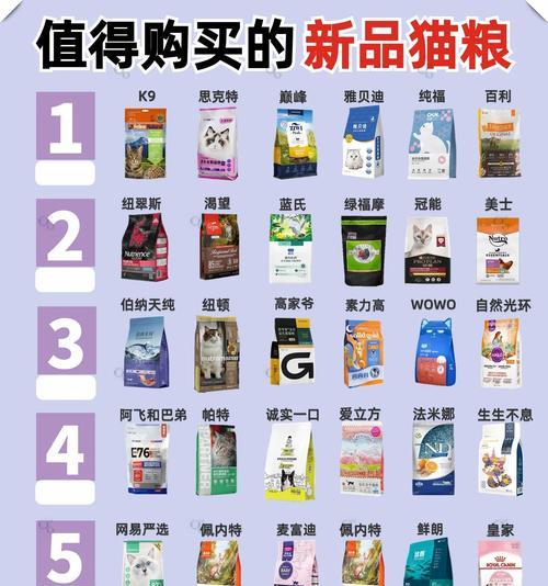 胖猫好吃什么猫粮？如何选择适合肥胖猫咪的猫粮？