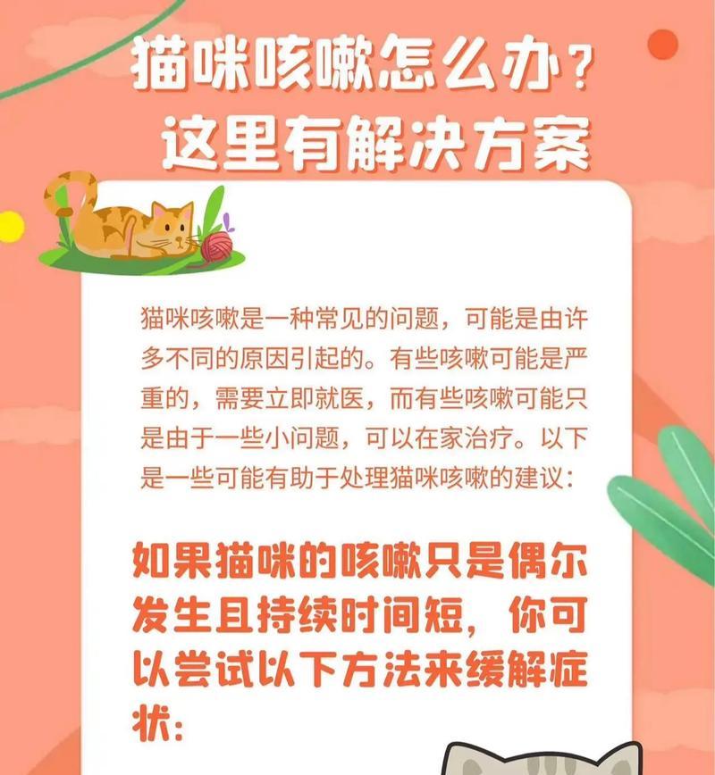 猫咪吃猫粮咳嗽是为什么？需要带去看兽医吗？
