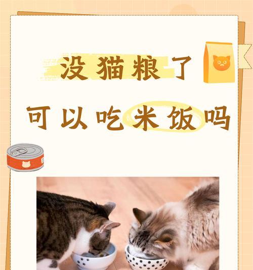 猫吃猫粮后排便臭味重是正常现象吗？可能的原因是什么？
