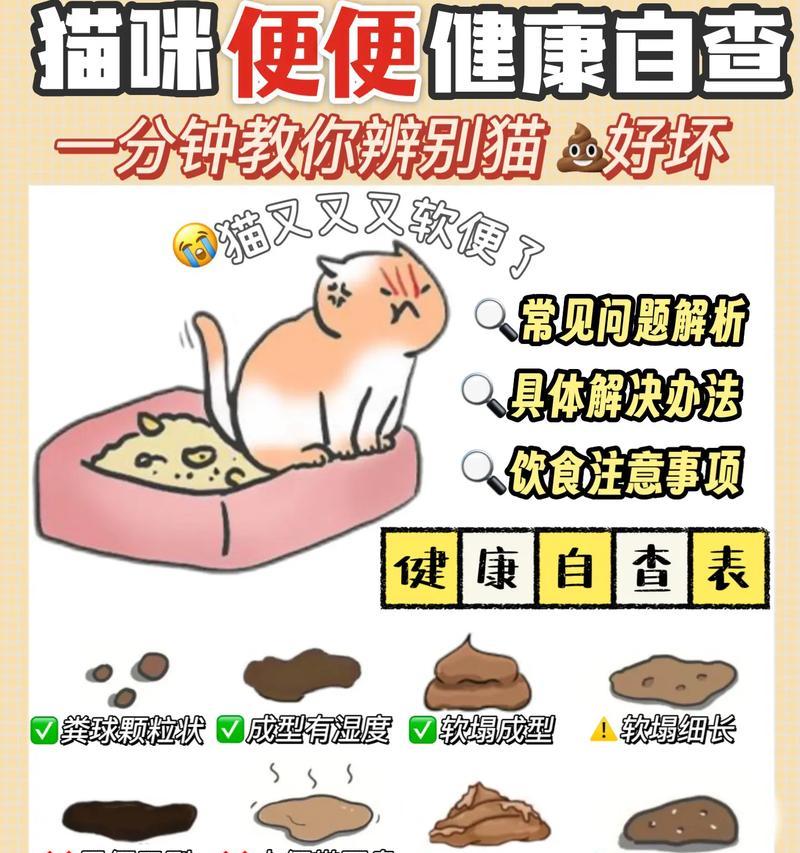 猫吃猫粮后排便臭味重是正常现象吗？可能的原因是什么？