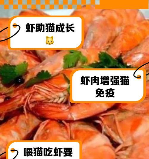 宠物猫可以吃油炸虾吗？油炸食品对猫的健康有何影响？